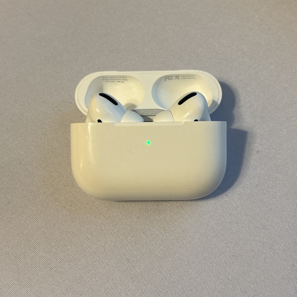 Apple White Earbud Headphones